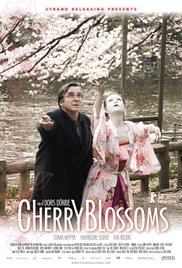 Cherry Blossoms