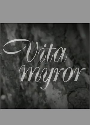 Vita myror