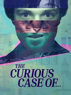 The Curious Case of…